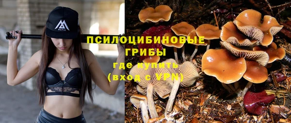 Альфа ПВП Елабуга