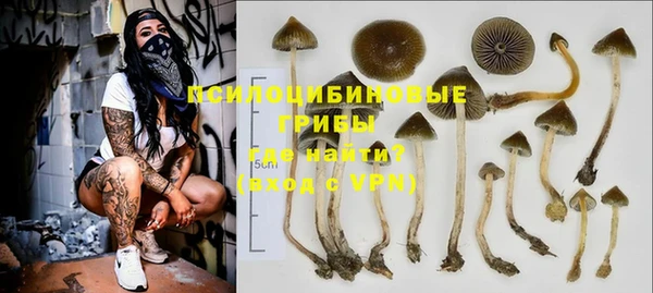 Альфа ПВП Елабуга