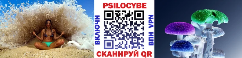 Псилоцибиновые грибы GOLDEN TEACHER  Канск 