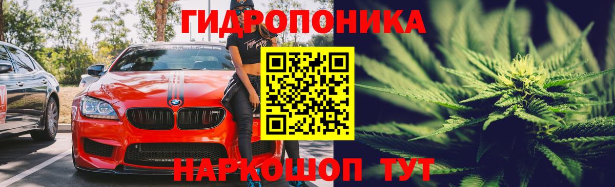 Марихуана планчик Канск